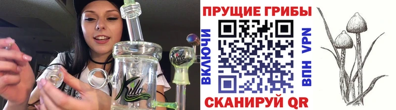 ОМГ ОМГ онион  как найти закладки  Заозёрск  Псилоцибиновые грибы GOLDEN TEACHER 